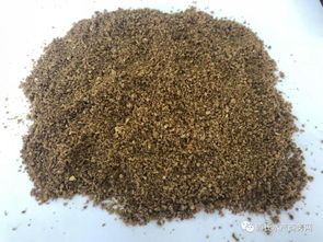 魚價低迷期如何降低餌料成本？養殖戶必看的實用策略